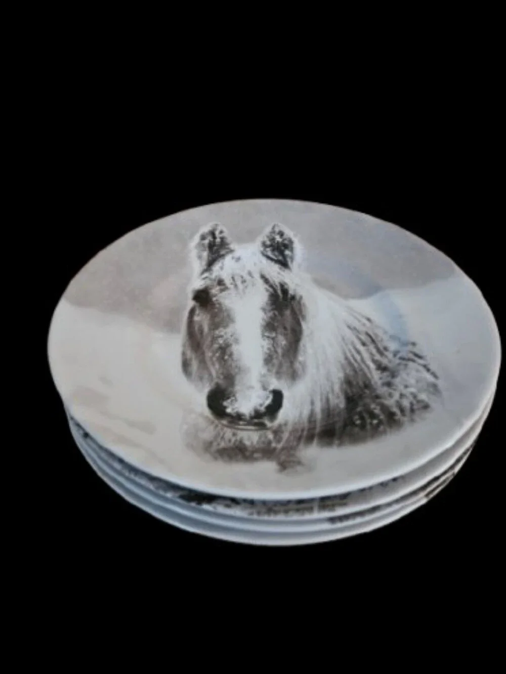*PIER 1 Imports Snow Forest Winter Animal Salad/Appetizer Plates Set Of 4